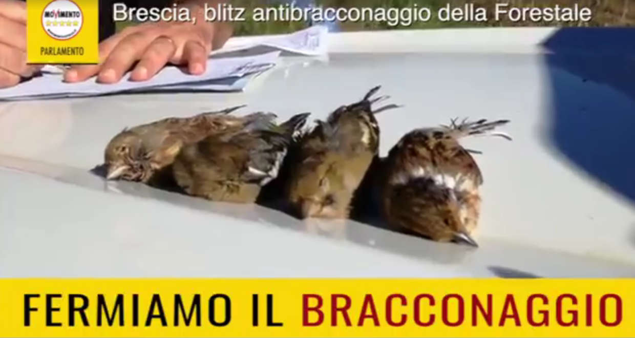Bracconaggio a Brescia, immagini inedite sul campoImportante salvare le competenze del Corpo Forestale
